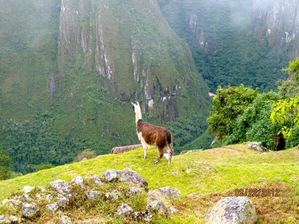 Native viewing the scenery