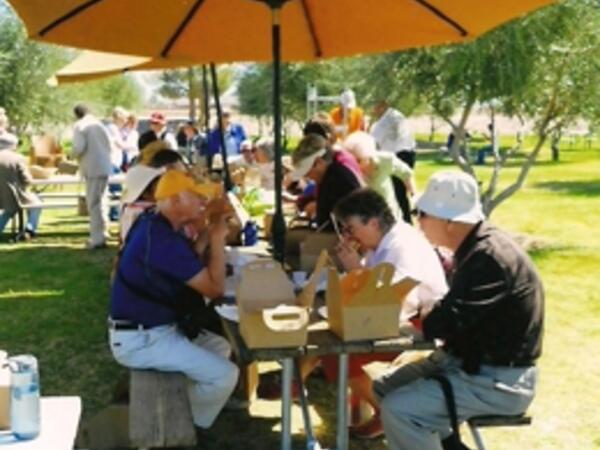 Lunch at the Olive Mill