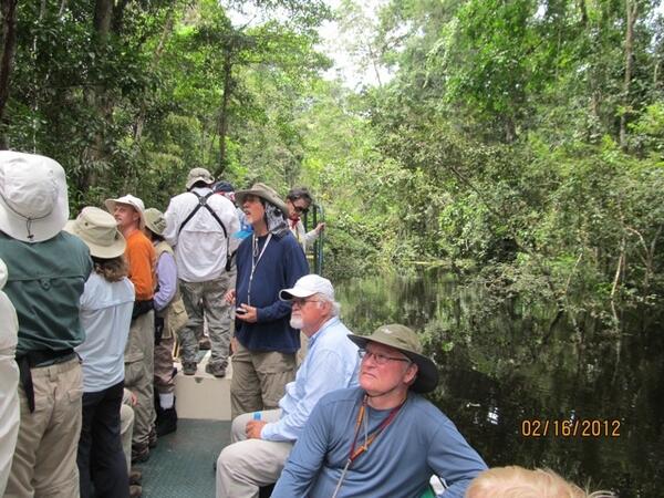 On a skiff in the jungle