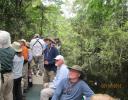 On a skiff in the jungle