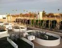 Algae farm
